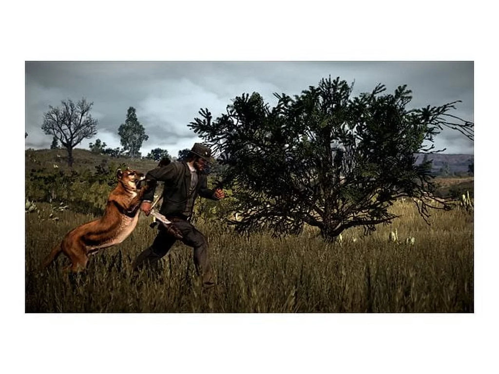 2 Xbox Red Dead Redemption One