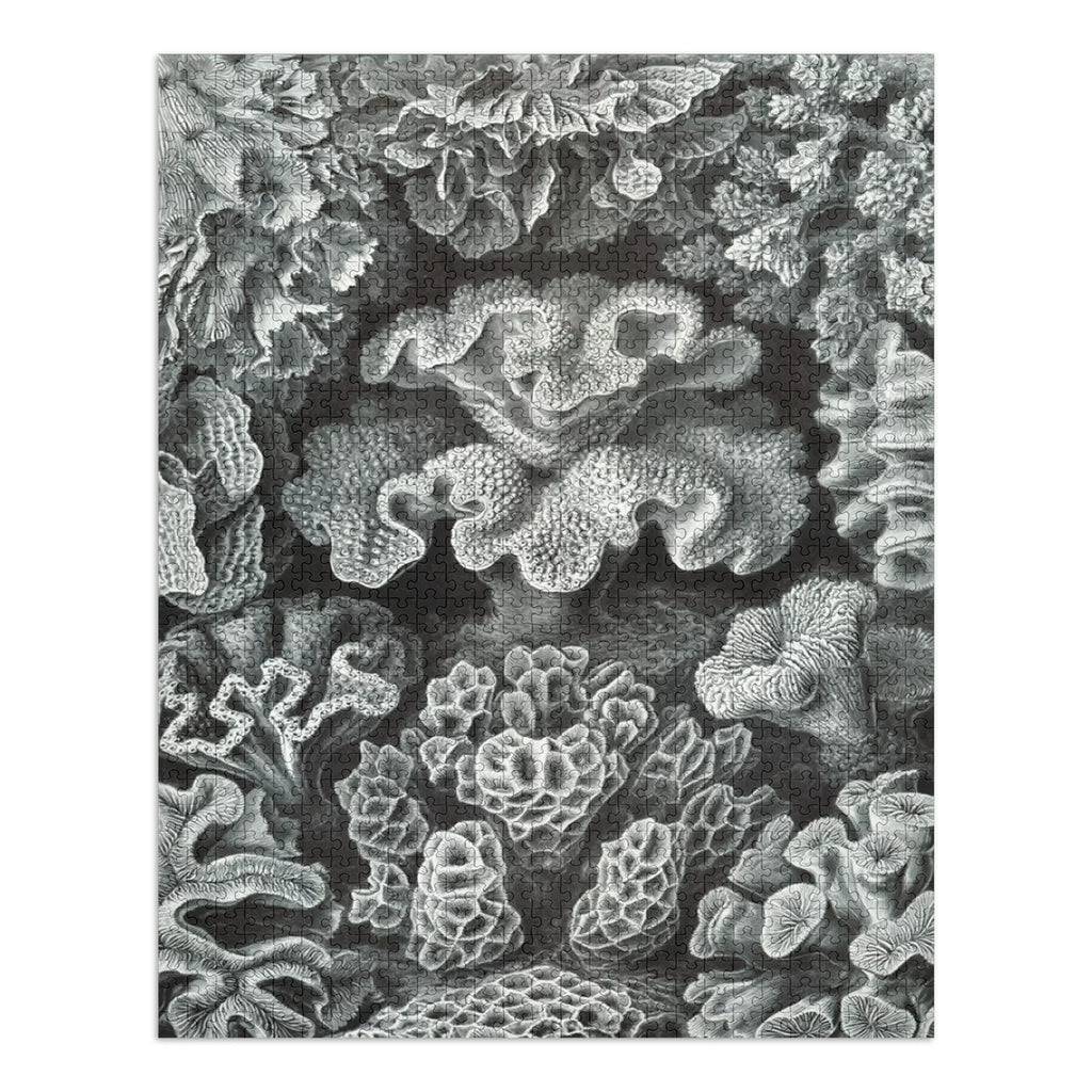 Family, Haeckel, USA) Ernst for in Jigsaw Puzzle, Piece 19x27, Size Made Puzzle Adults (1000 Hexacoralla Challenging and