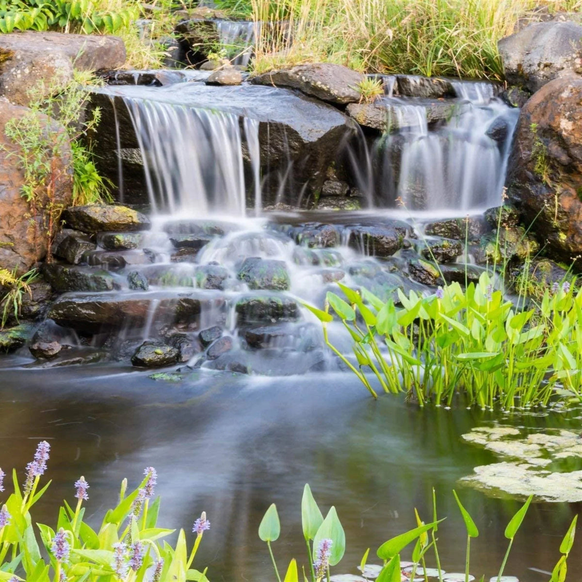 HALF PONDS Submersible Series - and Pump PN-4200 Ponds for Direct Water 4,200 Gardens, Drive Piranha OFF Waterfalls GPH