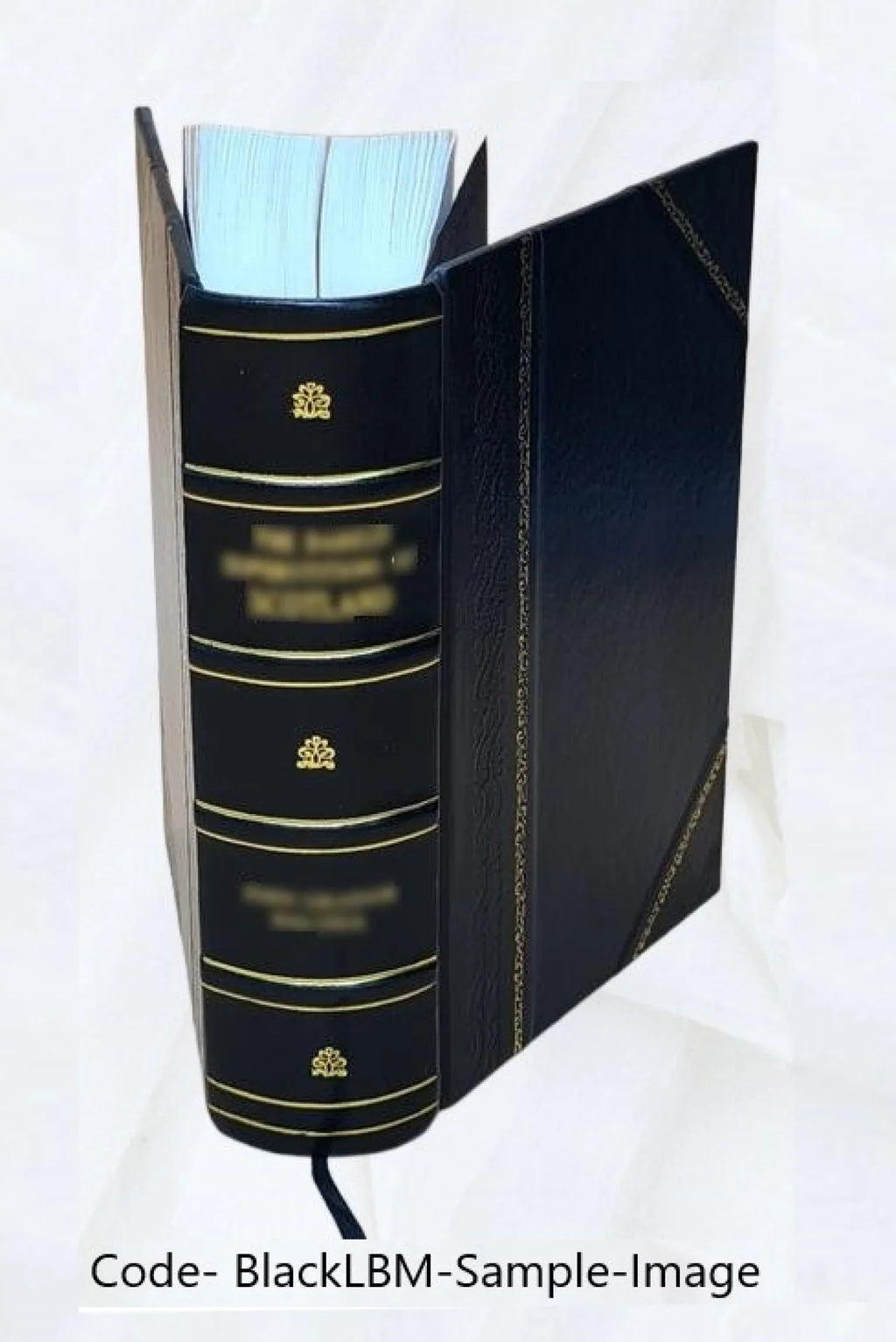 素行 集. Bound] Sokō zenshū.,山鹿 [Leather Yamaga 1913