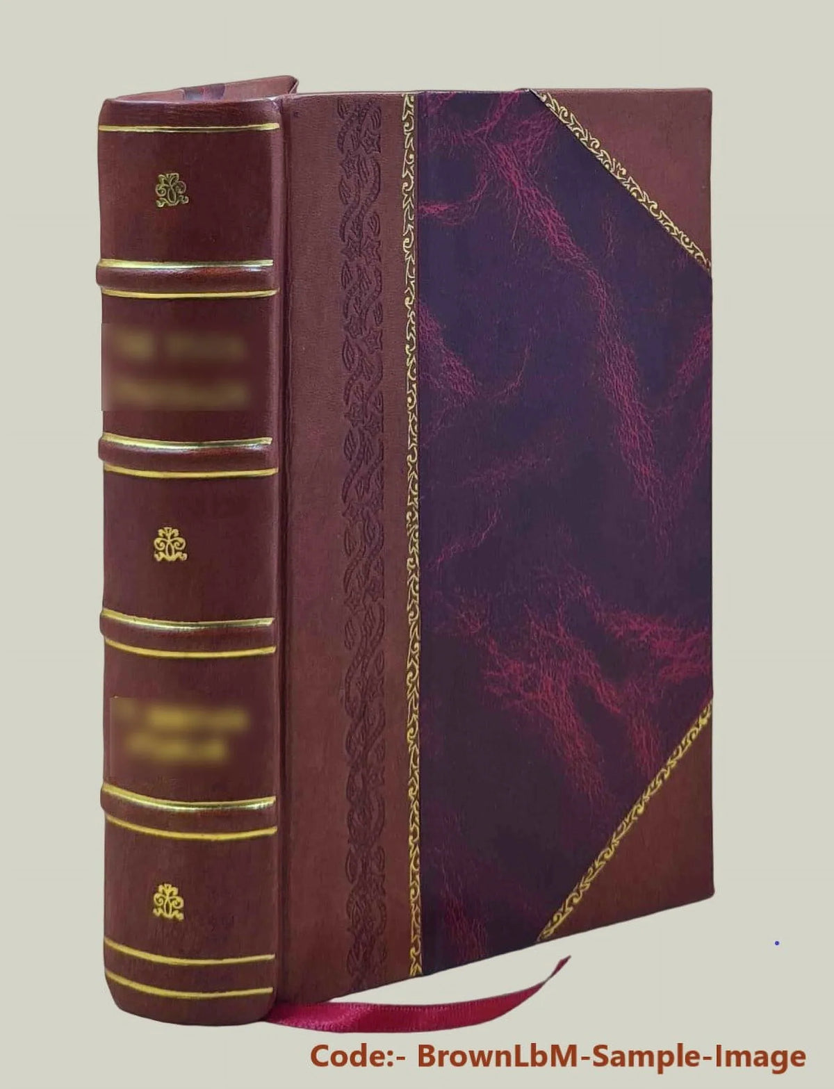 Cinderella, 1893 Cap of and o'Rushes Cinderella; and three Catskin, [Leather hundred forty-five variants Bound]