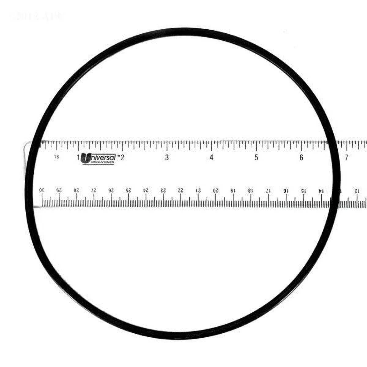 Zodiac Cap for 1 W13061 Piece O-Ring