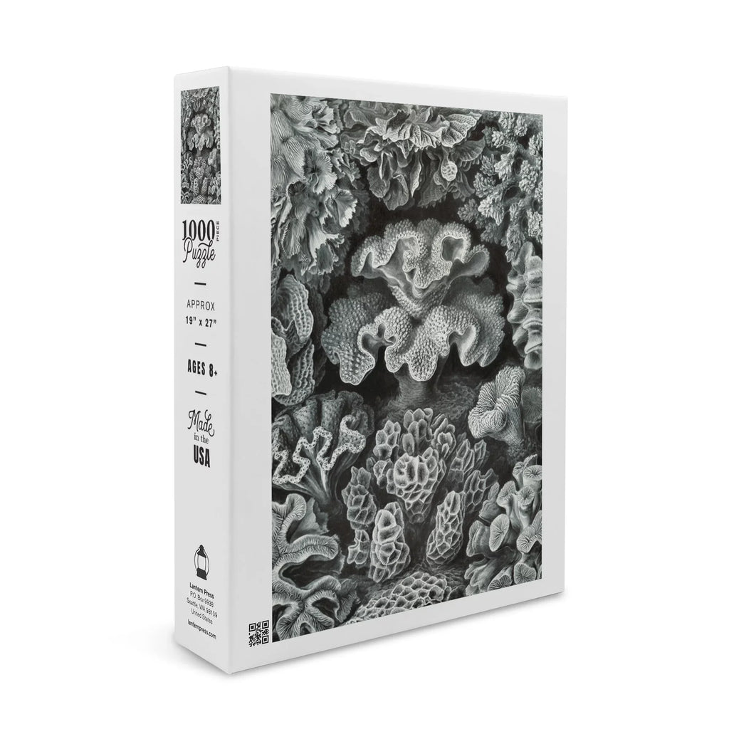 Family, Haeckel, USA) Ernst for in Jigsaw Puzzle, Piece 19x27, Size Made Puzzle Adults (1000 Hexacoralla Challenging and