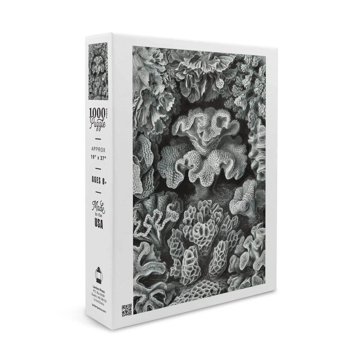 Family, Haeckel, USA) Ernst for in Jigsaw Puzzle, Piece 19x27, Size Made Puzzle Adults (1000 Hexacoralla Challenging and