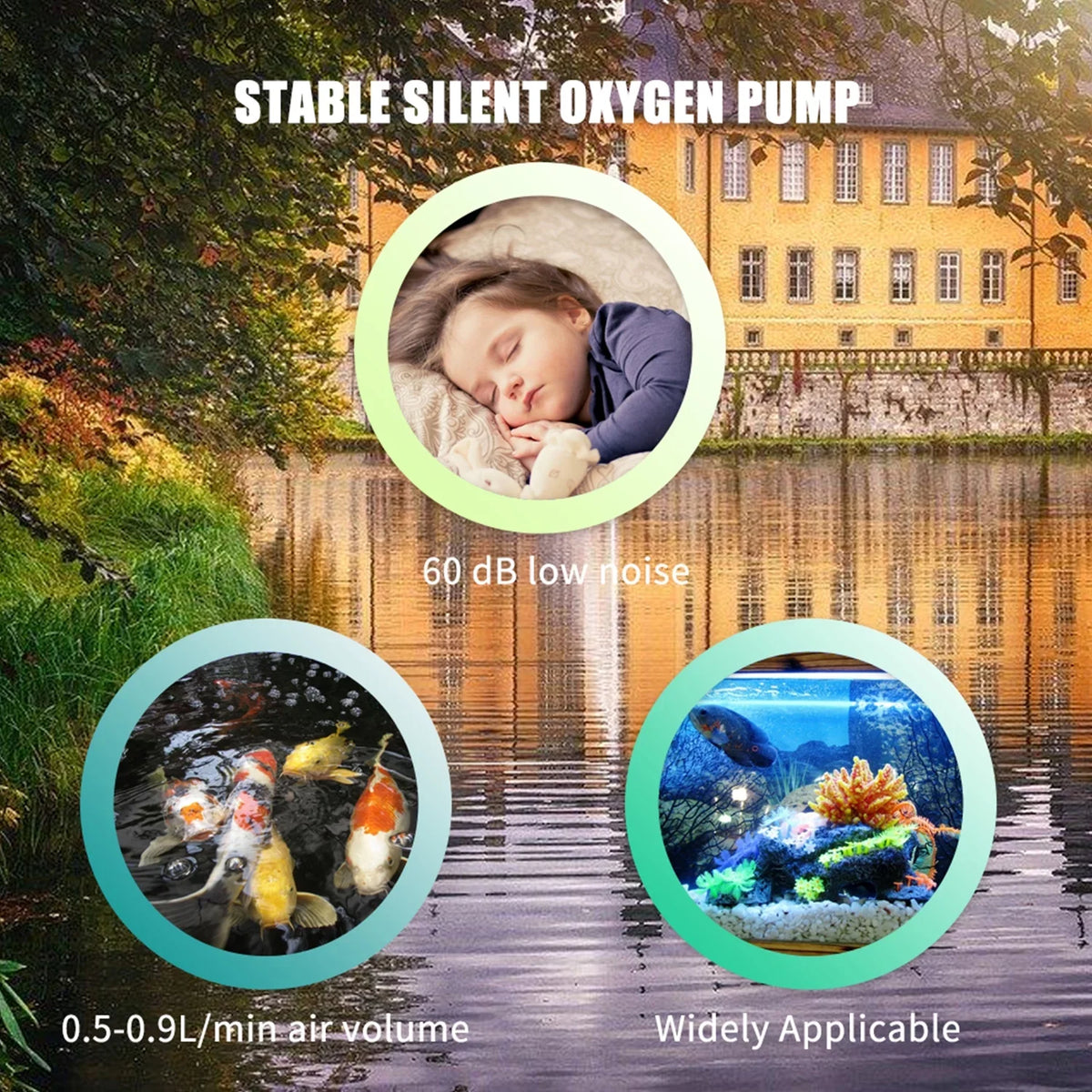 Pump Aerator IUPPA Fountain,Air Tank Fish Aerator Solar Air Airpump Mini Air Tank 1.5W Stone Air Pond Pipe Pond Aerator Pump Washboa Fish Round Dadypet Aerator Pump Bubble Pond Solar boa Aerator