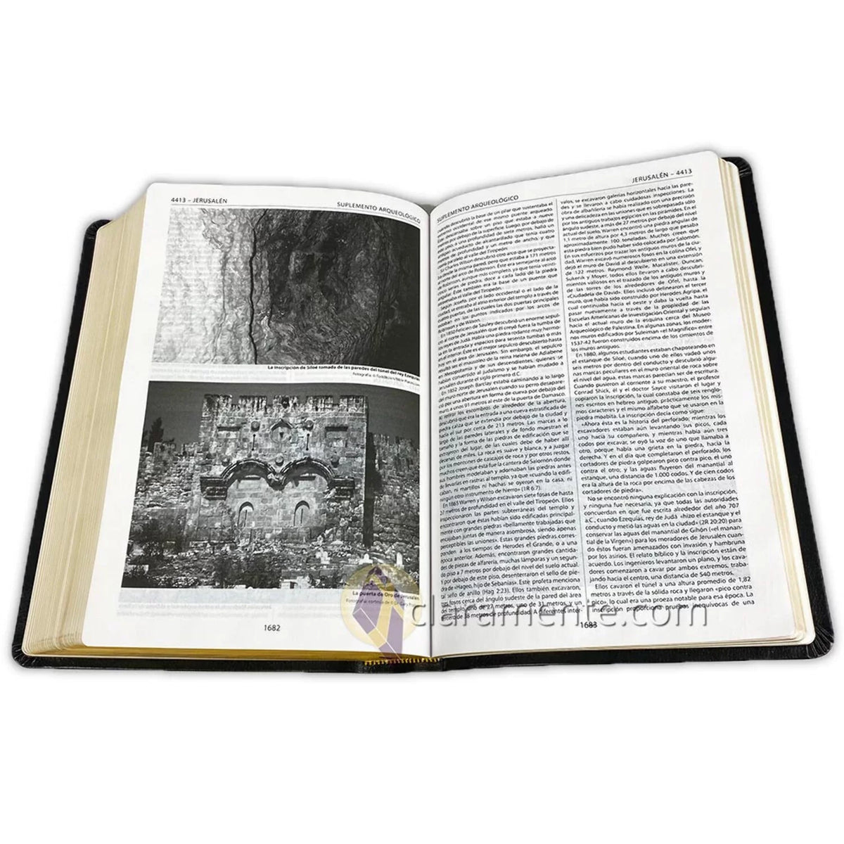 Reina Reference Thompson Fibers Bible, Leather Piel Chain Thompson, 1960, Valera Valera 1960, Spanish (Other) Recycled Reina Reciclada/ Biblia de Referencia