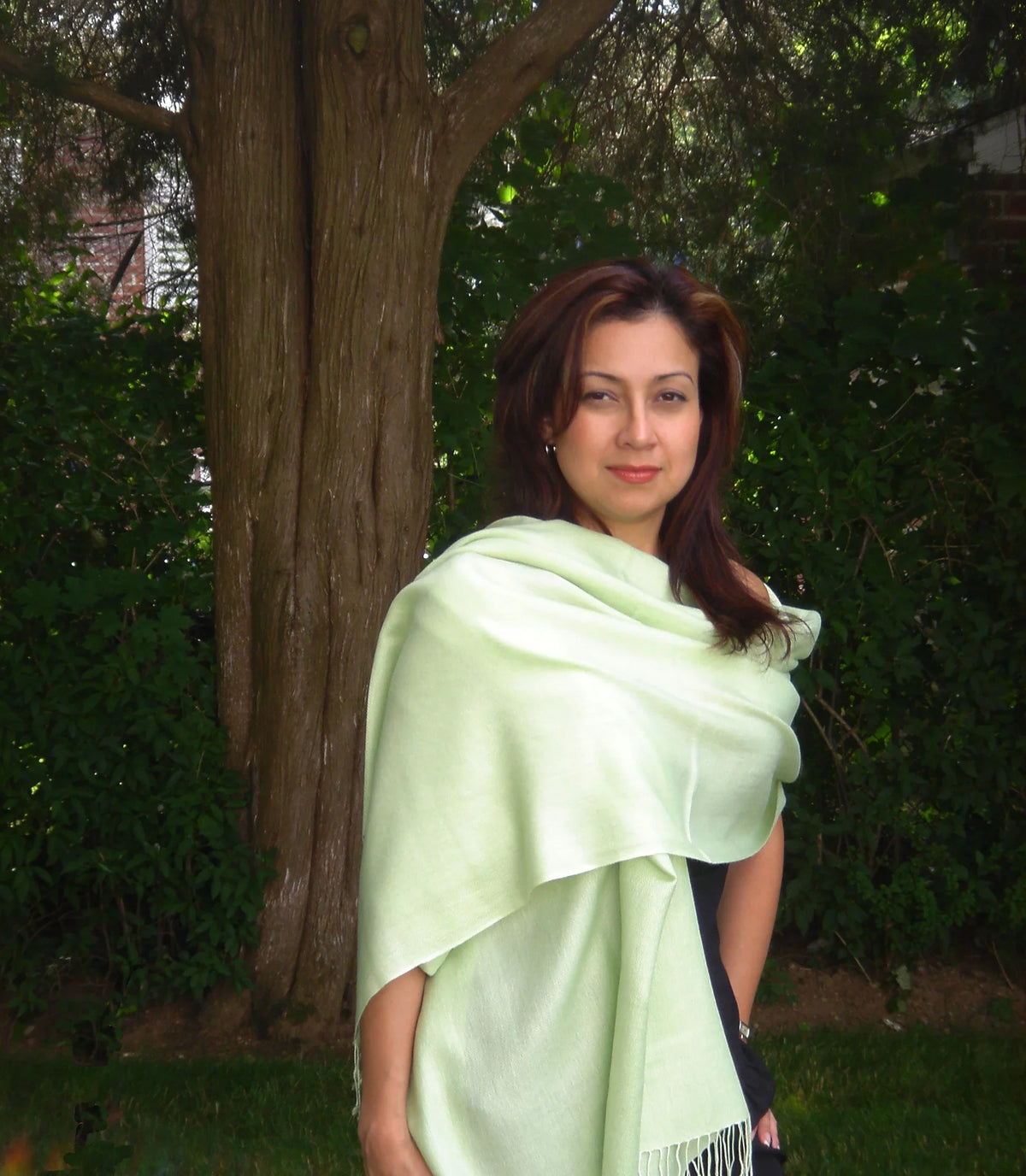 Scarf/Pashmina Shawl/Cashmere/Cashmere Green) (Mint Scarf/Wool/Silk Scarf/Scarves/Shawl/Shawls/Stole/Wrap/Pashmina