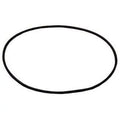 Zodiac Cap for 1 W13061 Piece O-Ring