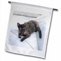 Polyester - x Boat Greece, Gallery Sails 3dRose on Flag Jaynes 1'6'' Naoussa, Garden Cat Paros, 1'
