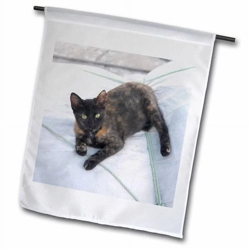 Polyester - x Boat Greece, Gallery Sails 3dRose on Flag Jaynes 1'6'' Naoussa, Garden Cat Paros, 1'