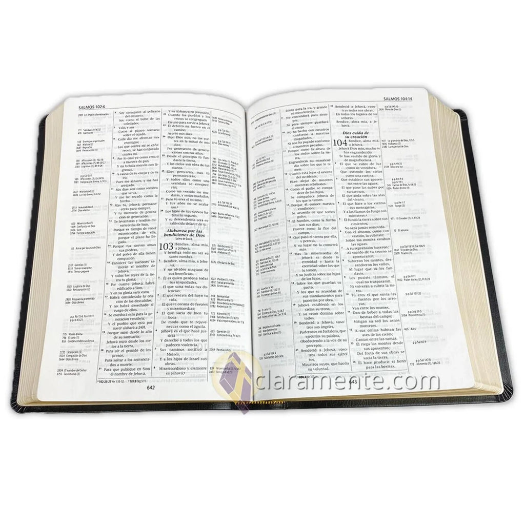 Reina Reference Thompson Fibers Bible, Leather Piel Chain Thompson, 1960, Valera Valera 1960, Spanish (Other) Recycled Reina Reciclada/ Biblia de Referencia
