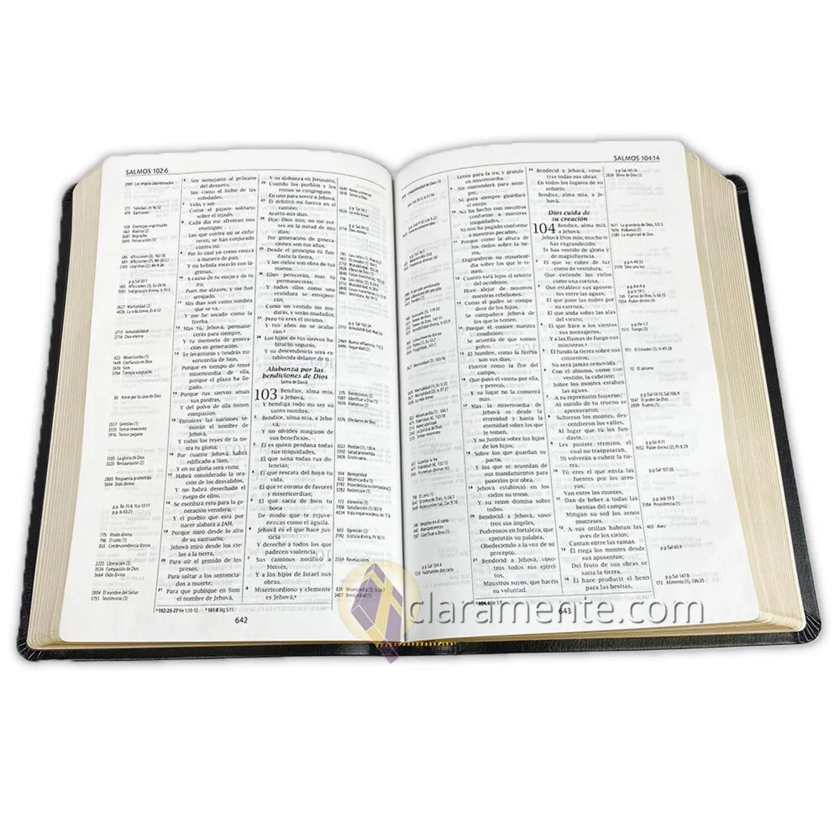 Reina Reference Thompson Fibers Bible, Leather Piel Chain Thompson, 1960, Valera Valera 1960, Spanish (Other) Recycled Reina Reciclada/ Biblia de Referencia