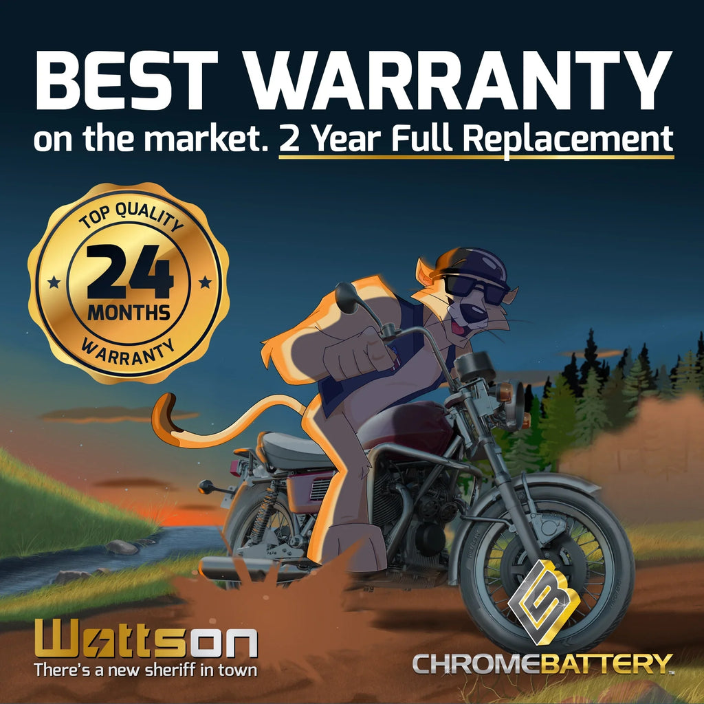 Jet 1990 YTX16L-BS for Volt,14 Ts Battery CCA) Ski Battery 12 Jf650 Ah, (16L-BS Zipp Kawasaki 230