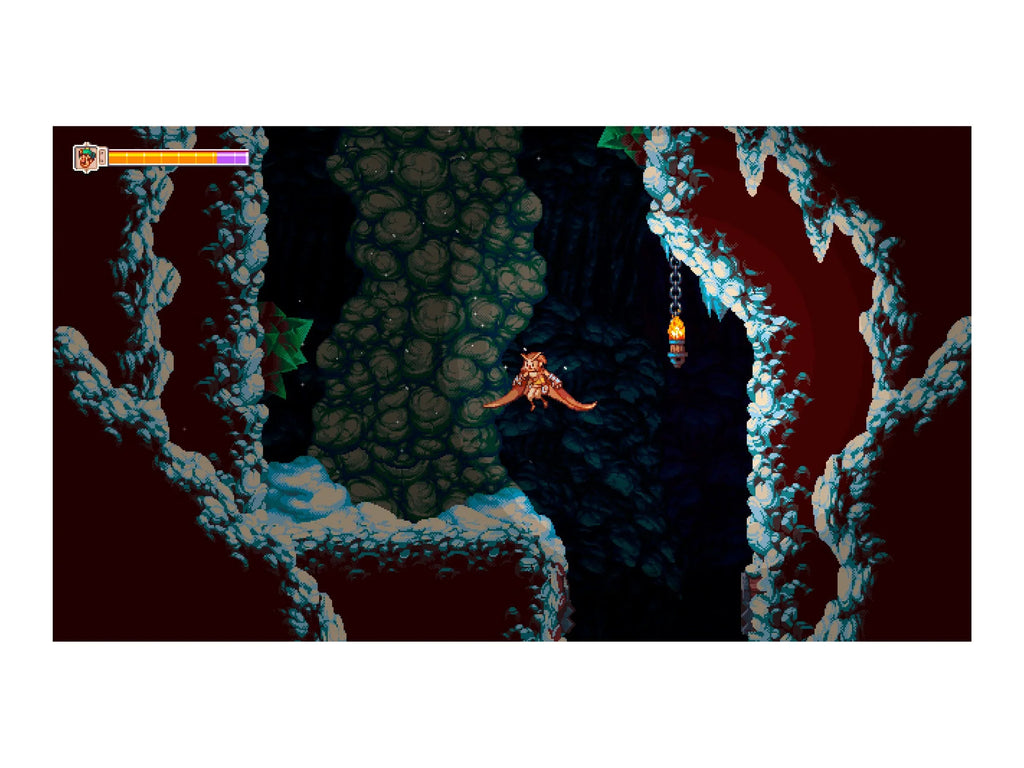 Soedesco, Owlboy, Switch, 852103006065 Nintendo