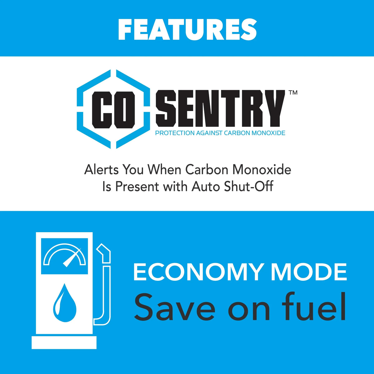 RV Fuel Remote Sentry Start and 5000-Watt Generator with CO Dual Pulsar Inverter Ready