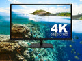 monitor 3840x2160 4K2K 4K 60Hz Supports Gaming Monitor 101AV UHD Security Display Pro Home 28" Office