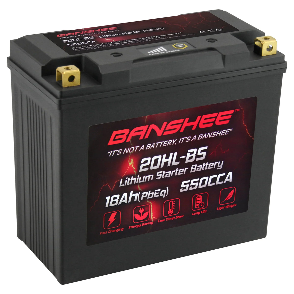 LiFePO4 2004 Yamaha Battery Motorsports YTX20L-BS XL700A Banshee WaveVenture with XL700 Compatible 2002 to