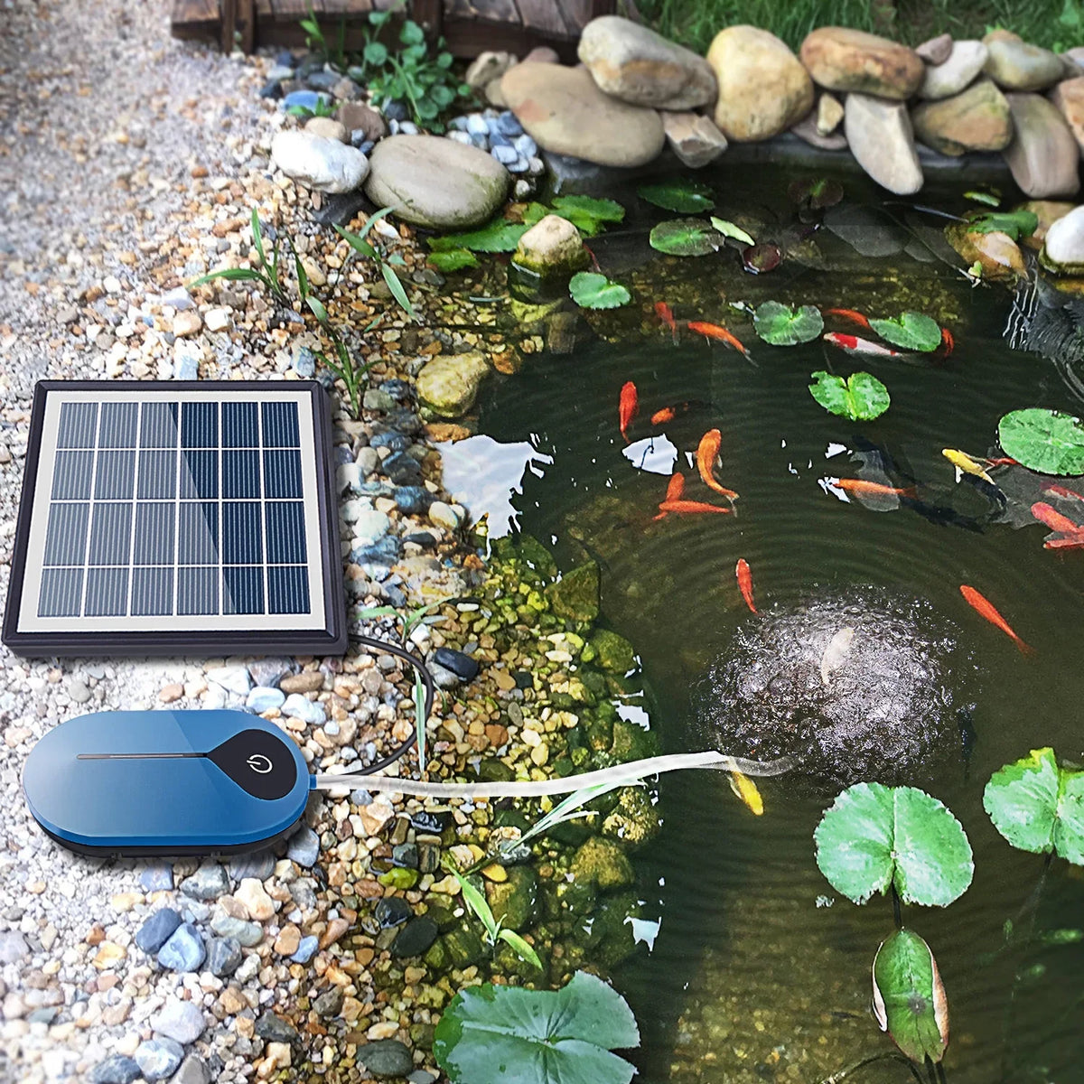 Pump Aerator IUPPA Fountain,Air Tank Fish Aerator Solar Air Airpump Mini Air Tank 1.5W Stone Air Pond Pipe Pond Aerator Pump Washboa Fish Round Dadypet Aerator Pump Bubble Pond Solar boa Aerator