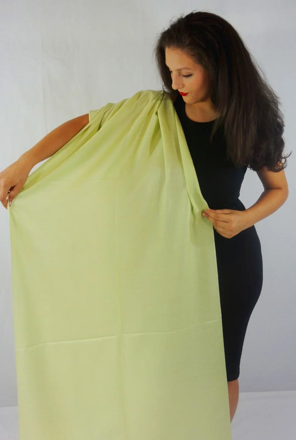Scarf/Pashmina Shawl/Cashmere/Cashmere Green) (Mint Scarf/Wool/Silk Scarf/Scarves/Shawl/Shawls/Stole/Wrap/Pashmina