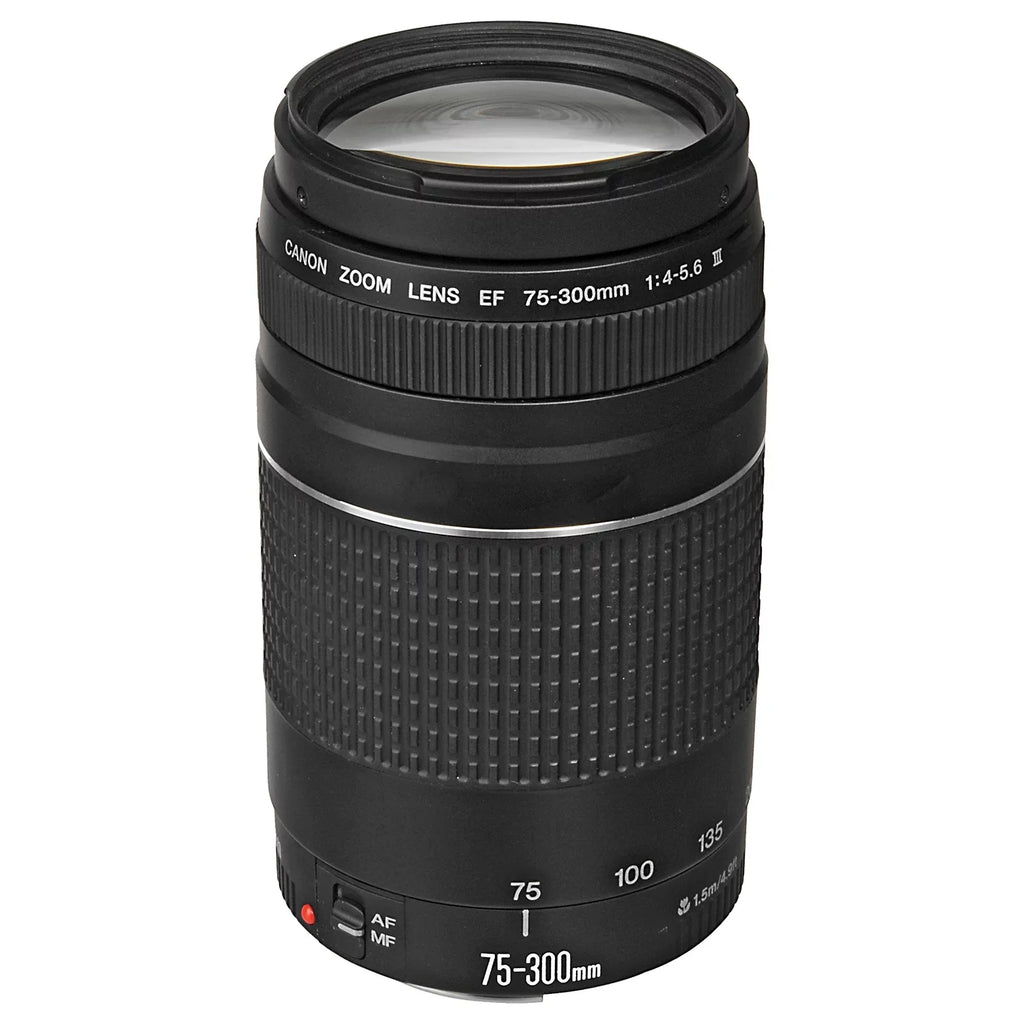 with Case Mirrorless + Mount Lens + 75-300mm 24-105mm Flash Card ZeeTech Adapter Canon Bundle RF + + EF R6 Memory LED + SanDisk Accessory II 32GB + Mark EOS Camera