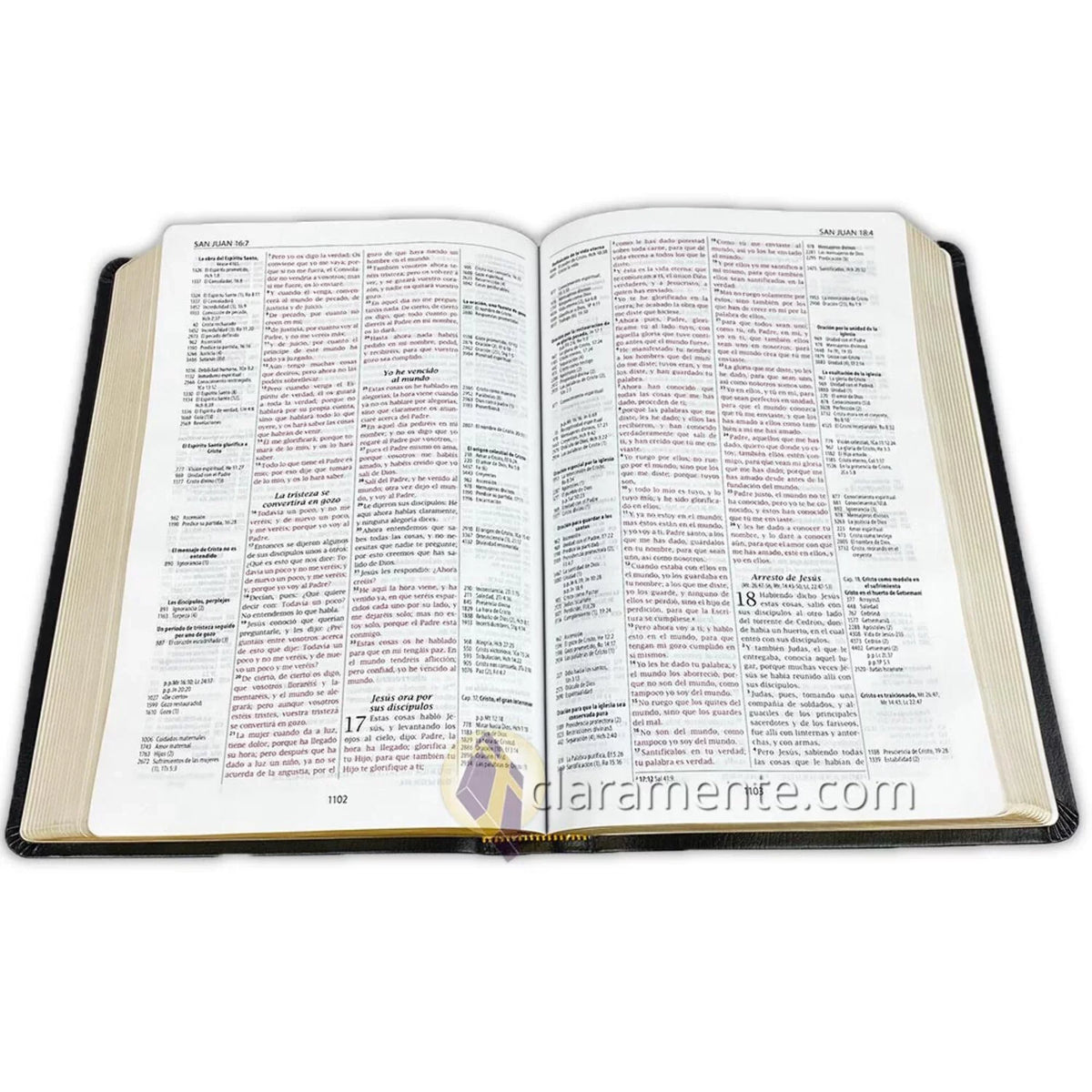Reina Reference Thompson Fibers Bible, Leather Piel Chain Thompson, 1960, Valera Valera 1960, Spanish (Other) Recycled Reina Reciclada/ Biblia de Referencia